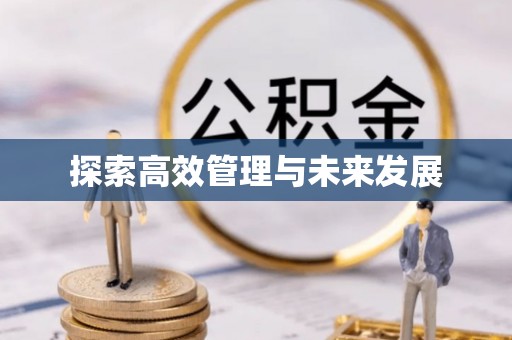 崁顶探索高效管理与未来发展