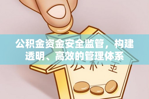 崁顶公积金资金安全监管，构建透明、高效的管理体系