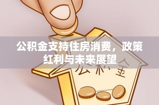 崁顶公积金支持住房消费，政策红利与未来展望
