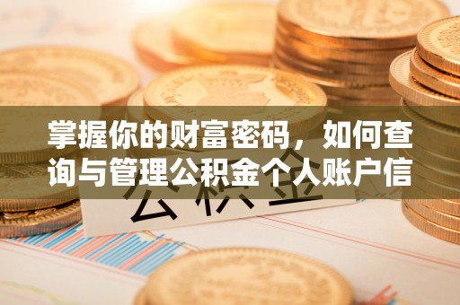 崁顶掌握你的财富密码，如何查询与管理公积金个人账户信息