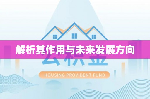 崁顶解析其作用与未来发展方向